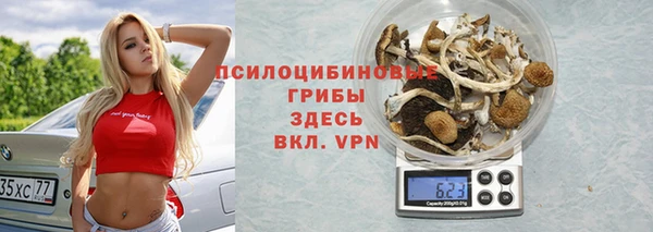 крисы Инта