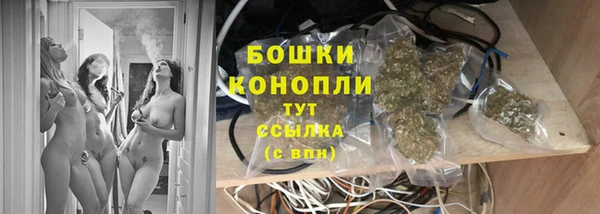 шишки Зерноград