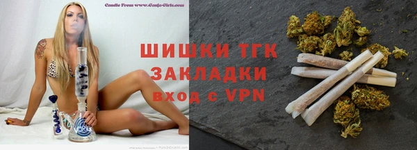 крисы Инта