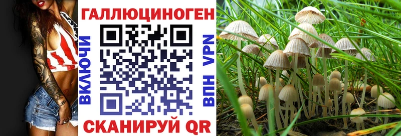 Галлюциногенные грибы ЛСД  Кыштым 